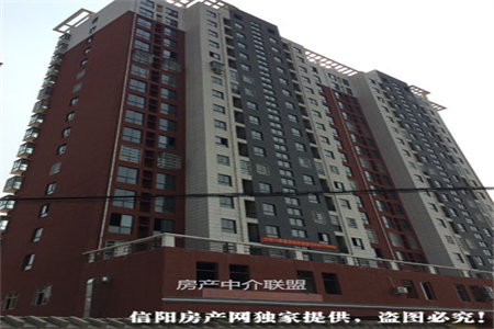 薛城区陶庄镇金福花苑经典3室黄金3楼